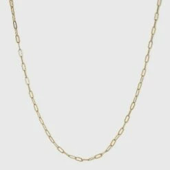 Coupon 🎁 14K Gold Plated 16" Paperlink Chain Necklace - A New Day™ 🤩 -A New Day Sales 2022 unnamed file 2874